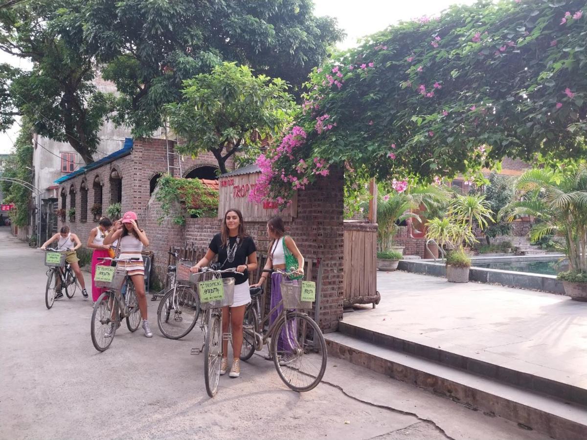 Tam Coc Tropical Homestay Ninh Binh Exteriér fotografie