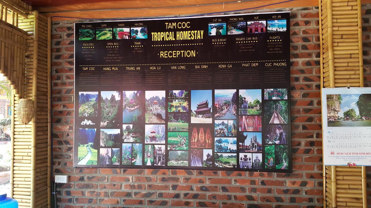 Tam Coc Tropical Homestay Ninh Binh Exteriér fotografie